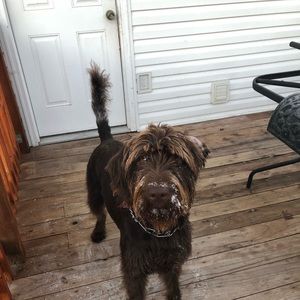 Meet your Posher, Paul